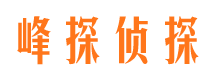 连城侦探公司